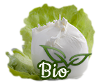 Bio